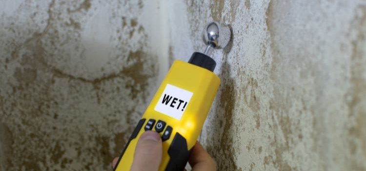 Come eliminare l’umidità da una casa colonica